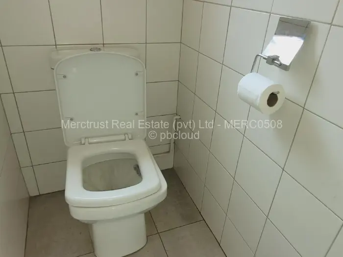 2 Bedroom Cottage/Garden Flat to Rent in Avondale