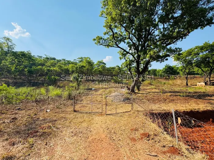 Farm/Plot for Sale in Carrick Creagh Estate, Harare