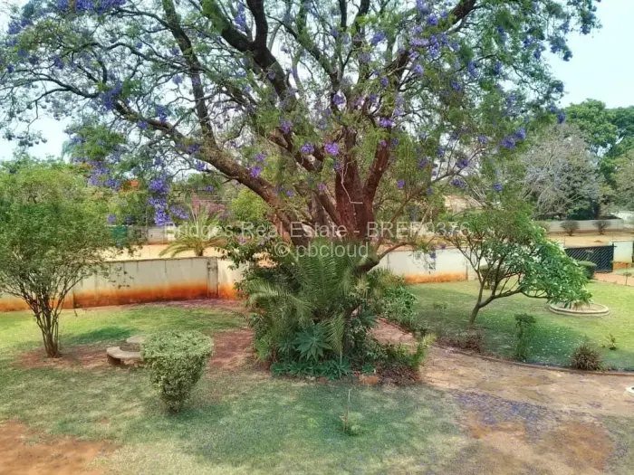 Flat/Apartment to Rent in Avondale West