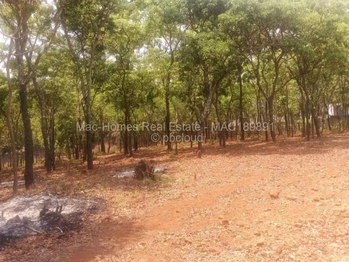 4 Bedroom House for Sale in Hogerty Hill, Harare