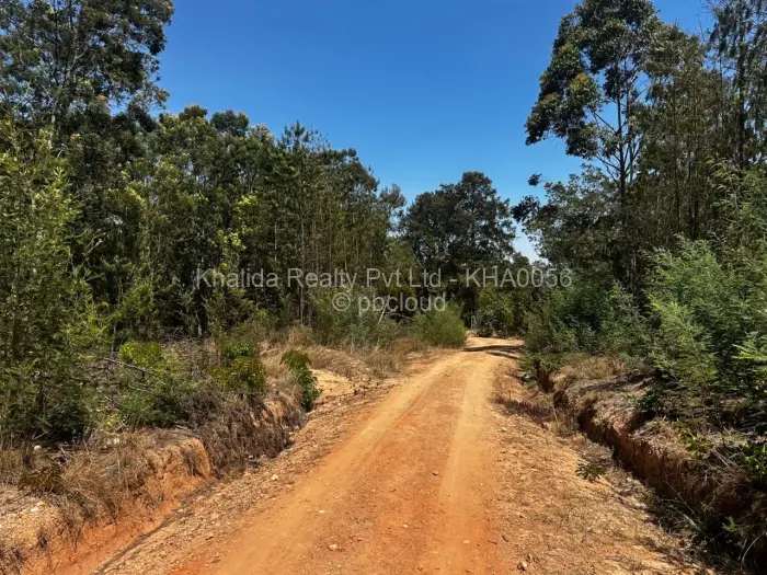 Farm/Plot for Sale in Nyanga, Nyanga