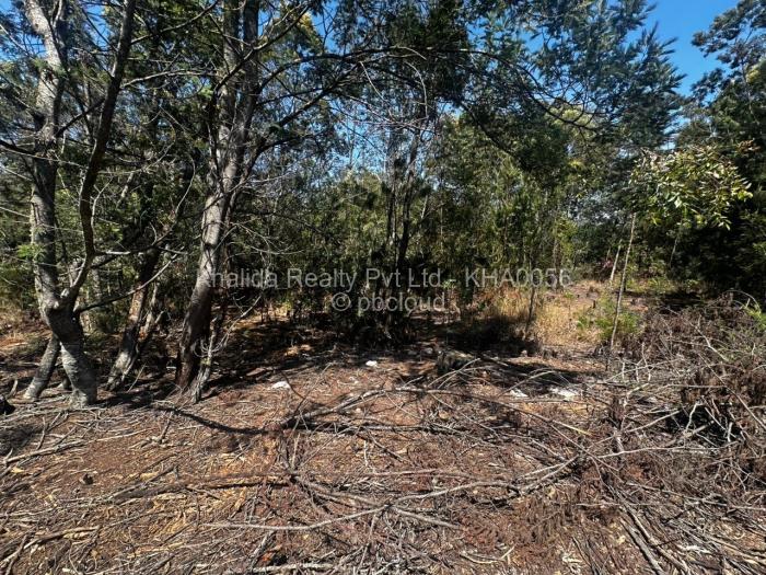 Farm/Plot for Sale in Nyanga, Nyanga