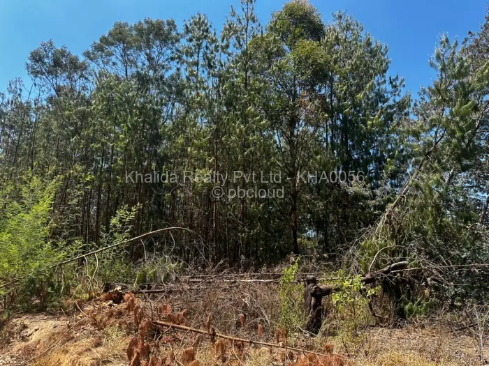 Farm/Plot for Sale in Nyanga, Nyanga