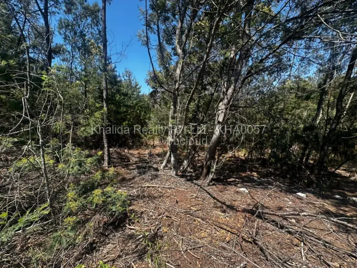 Commercial Stand for Sale in Juliasdale, Juliasdale