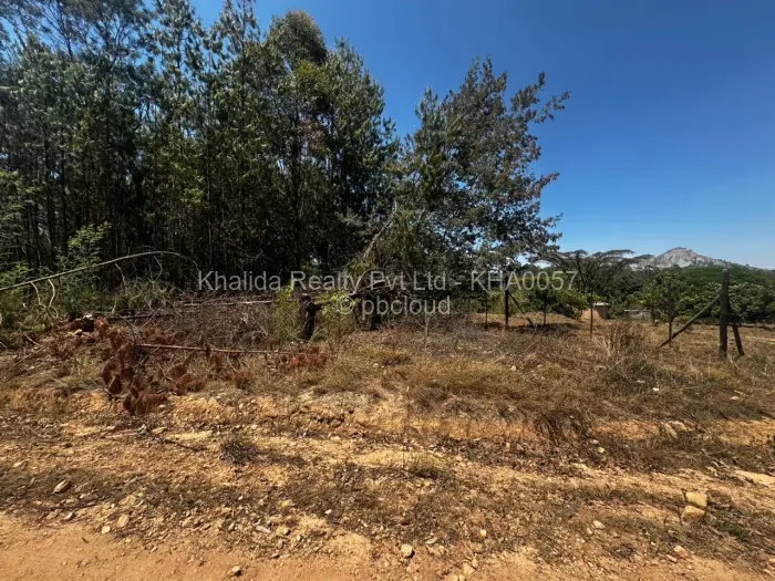 Commercial Stand for Sale in Juliasdale, Juliasdale