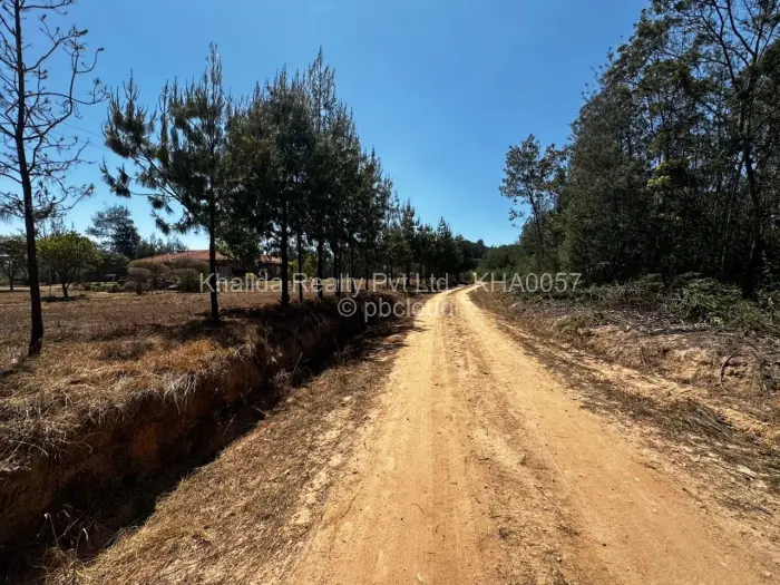 Commercial Stand for Sale in Juliasdale, Juliasdale
