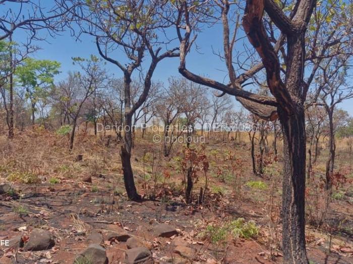 Farm/Plot for Sale in Glen Forest, Harare