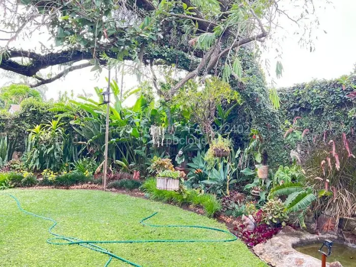 Warehouse/Industrial to Rent in Belvedere, Harare