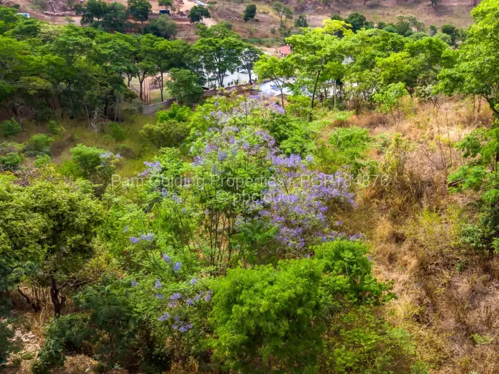 Farm/Plot for Sale in Shawasha Hills, Harare