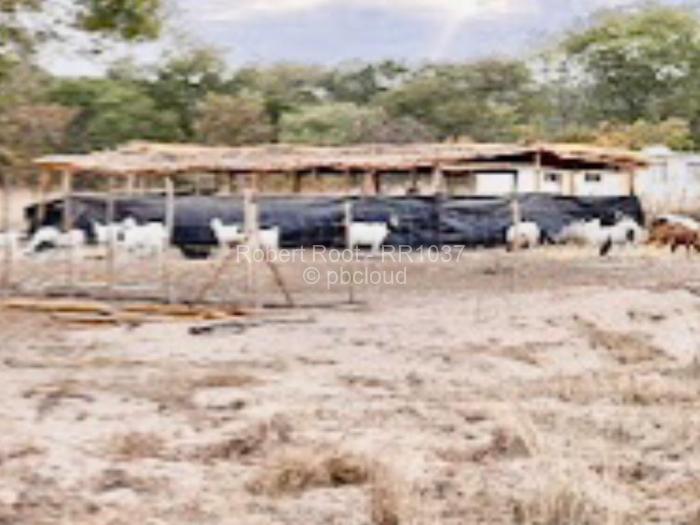 Farm/Plot for Sale in Beatrice, Beatrice