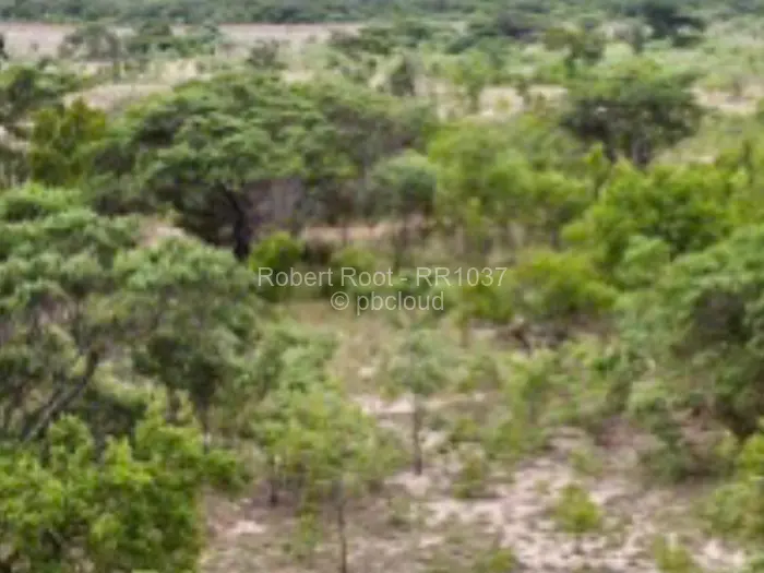 Farm/Plot for Sale in Beatrice, Beatrice