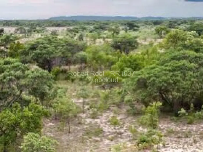 Farm/Plot for Sale in Beatrice, Beatrice