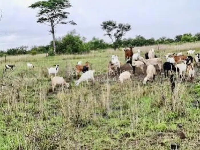 Farm/Plot for Sale in Beatrice, Beatrice