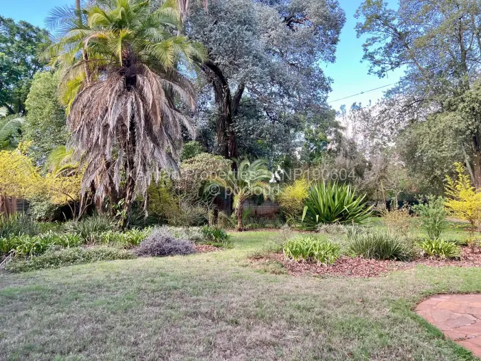 Office to Rent in Borrowdale