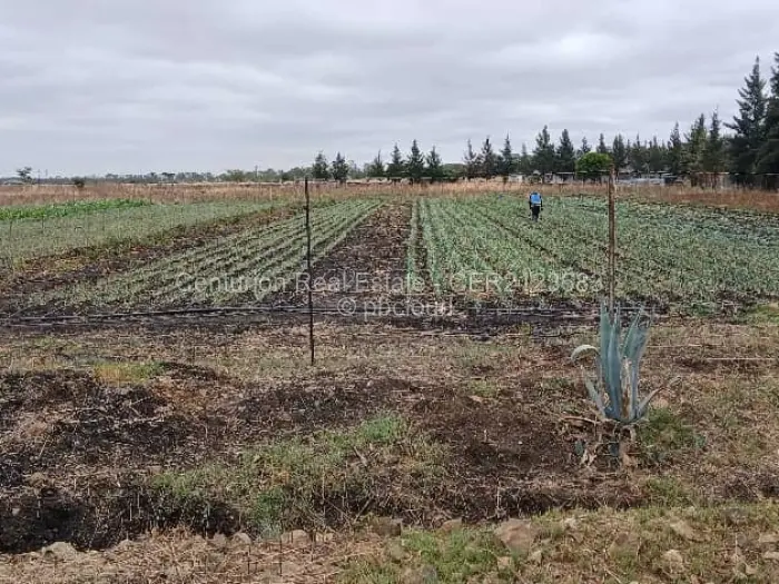 Farm/Plot for Sale in Gweru East, Gweru