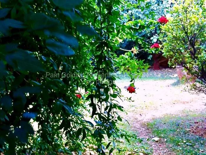 5 Bedroom House for Sale in Emerald Hill, Harare