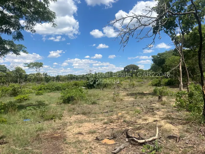 Farm/Plot for Sale in Mvuma, Mvuma