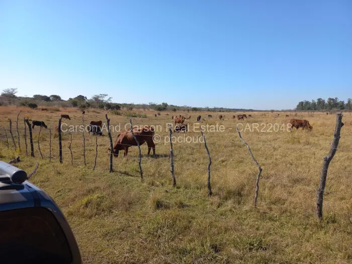 Farm/Plot for Sale in Mvuma, Mvuma