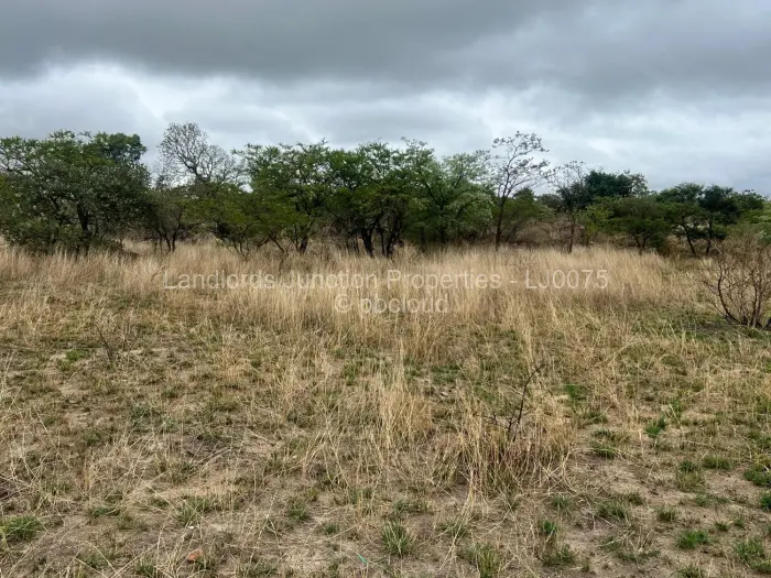 Residential Stand for Sale in Burnside, Bulawayo