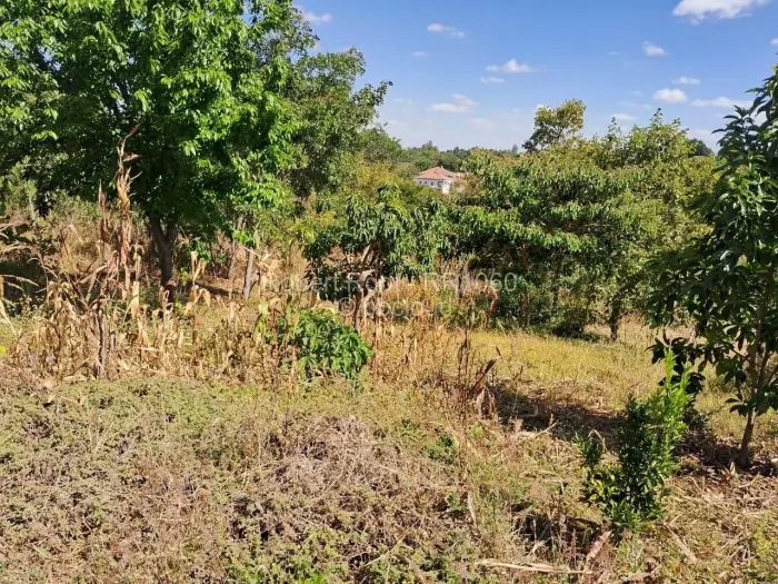 Residential Stand for Sale in Philadelphia, Harare