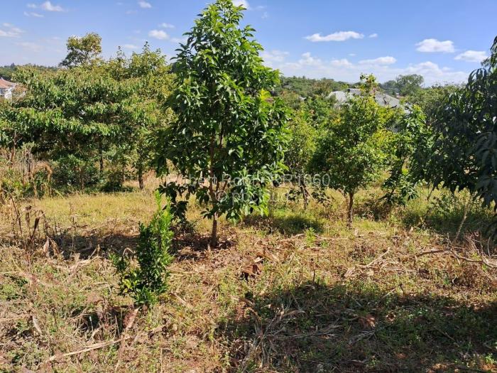 Residential Stand for Sale in Philadelphia, Harare