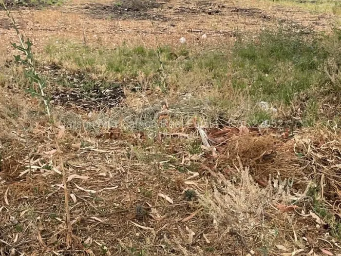 Residential Stand for Sale in Marlborough, Harare