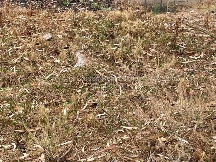 Residential Stand for Sale in Marlborough, Harare