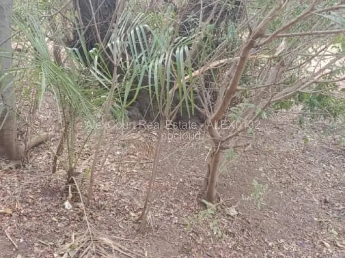 Residential Stand for Sale in Mount Pleasant, Harare