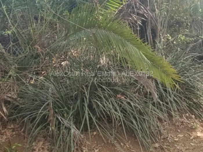 Residential Stand for Sale in Mount Pleasant, Harare