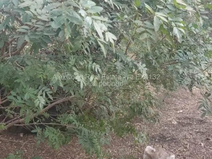 Residential Stand for Sale in Mount Pleasant, Harare