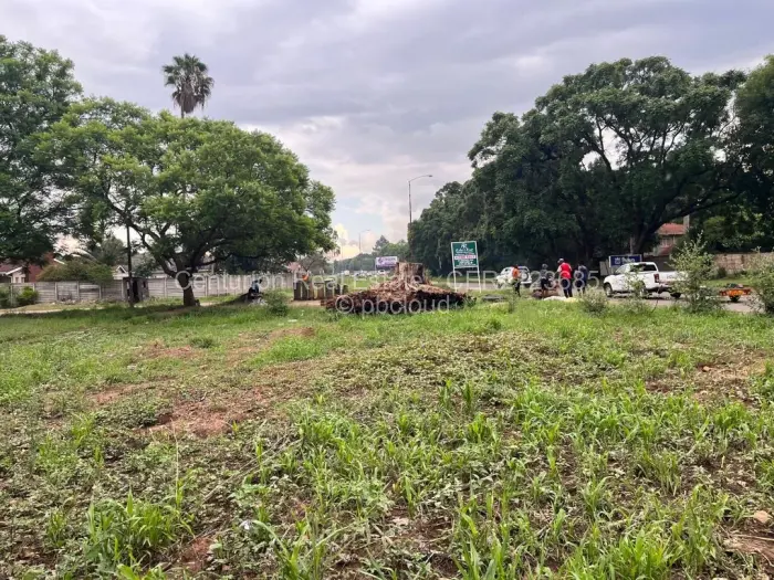 Residential Stand for Sale in Avondale, Harare