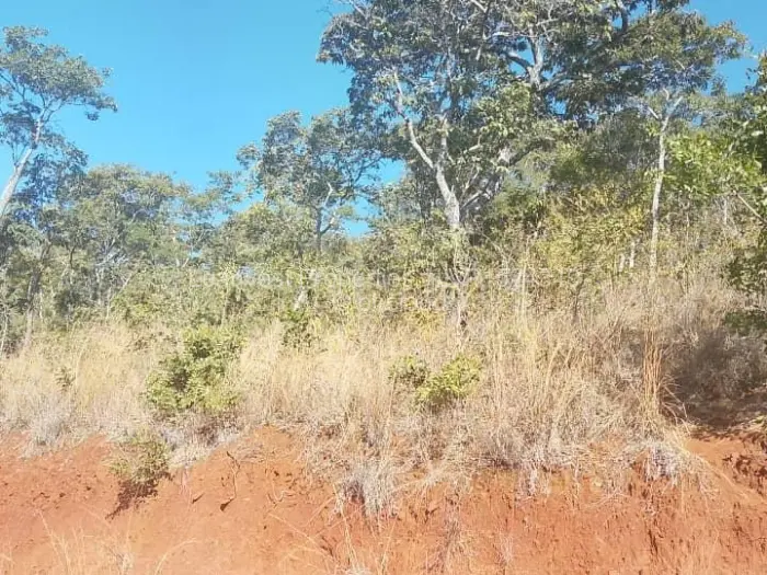 Residential Stand for Sale in Gletwin Park, Harare