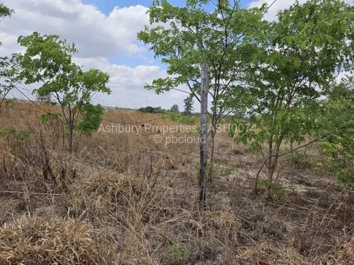 Farm/Plot for Sale in Ruwa, Ruwa
