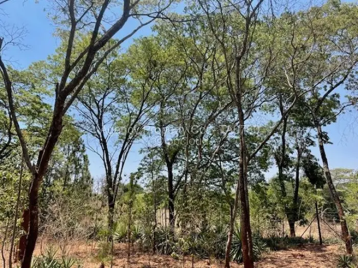 Residential Stand for Sale in Greystone Park, Harare