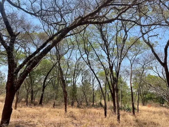 Residential Stand for Sale in Greystone Park, Harare