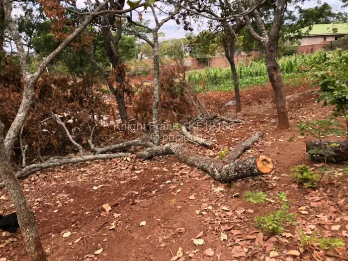 5 Bedroom House for Sale in Shawasha Hills, Harare