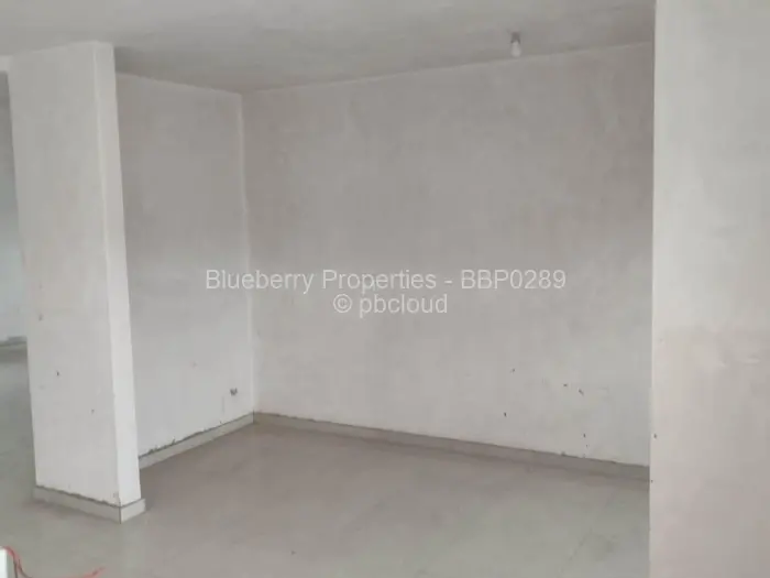 4 Bedroom House for Sale in Falcon Park, Harare