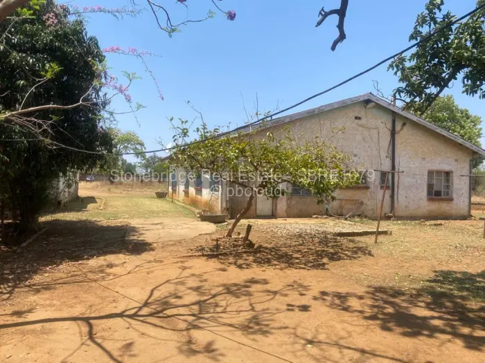 Residential Stand for Sale in Woodville