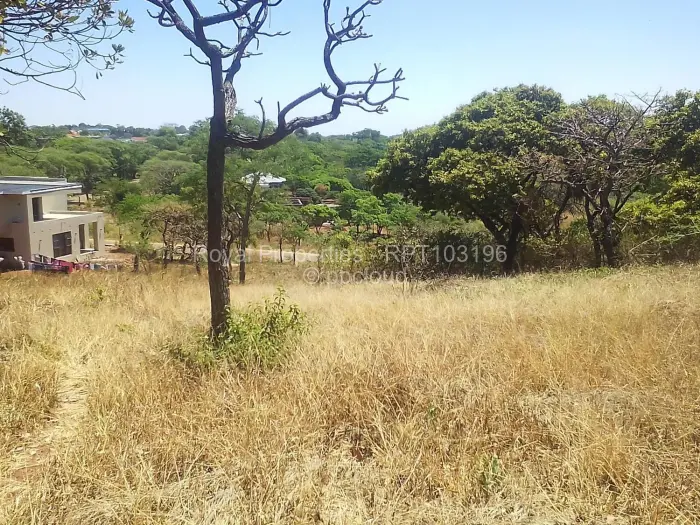Residential Stand for Sale in Shawasha Hills, Harare