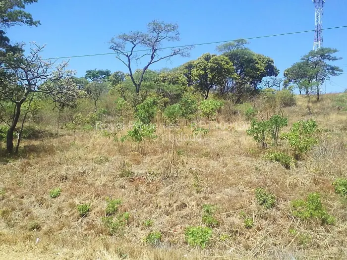 Residential Stand for Sale in Shawasha Hills, Harare