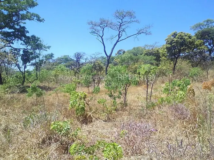 Residential Stand for Sale in Shawasha Hills, Harare