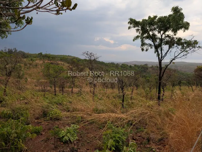 Residential Stand for Sale in Glen Forest, Harare