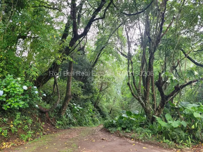 4 Bedroom House for Sale in Vumba, Vumba