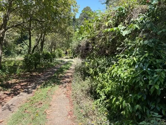 4 Bedroom House for Sale in Vumba, Vumba