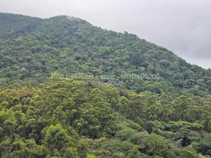 4 Bedroom House for Sale in Vumba, Vumba