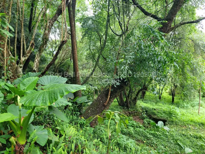 4 Bedroom House for Sale in Vumba, Vumba