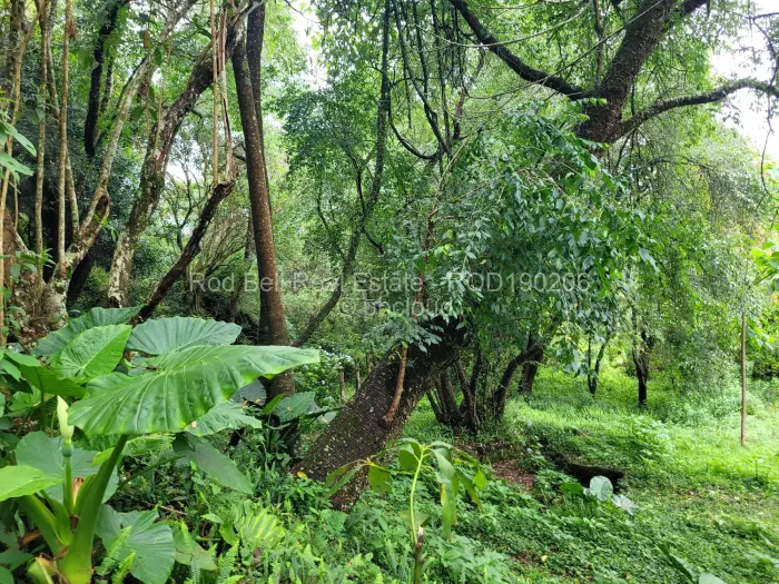 4 Bedroom House for Sale in Vumba, Vumba