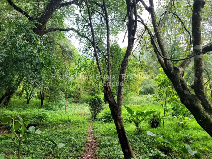 4 Bedroom House for Sale in Vumba, Vumba