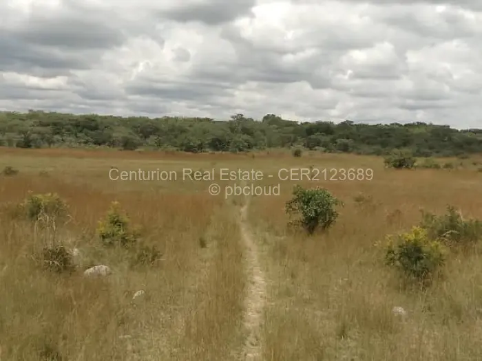 Farm/Plot for Sale in Mvuma, Mvuma