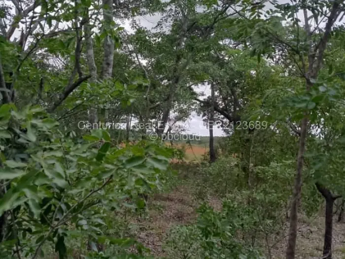 Farm/Plot for Sale in Mvuma, Mvuma